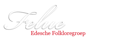 Felue logo